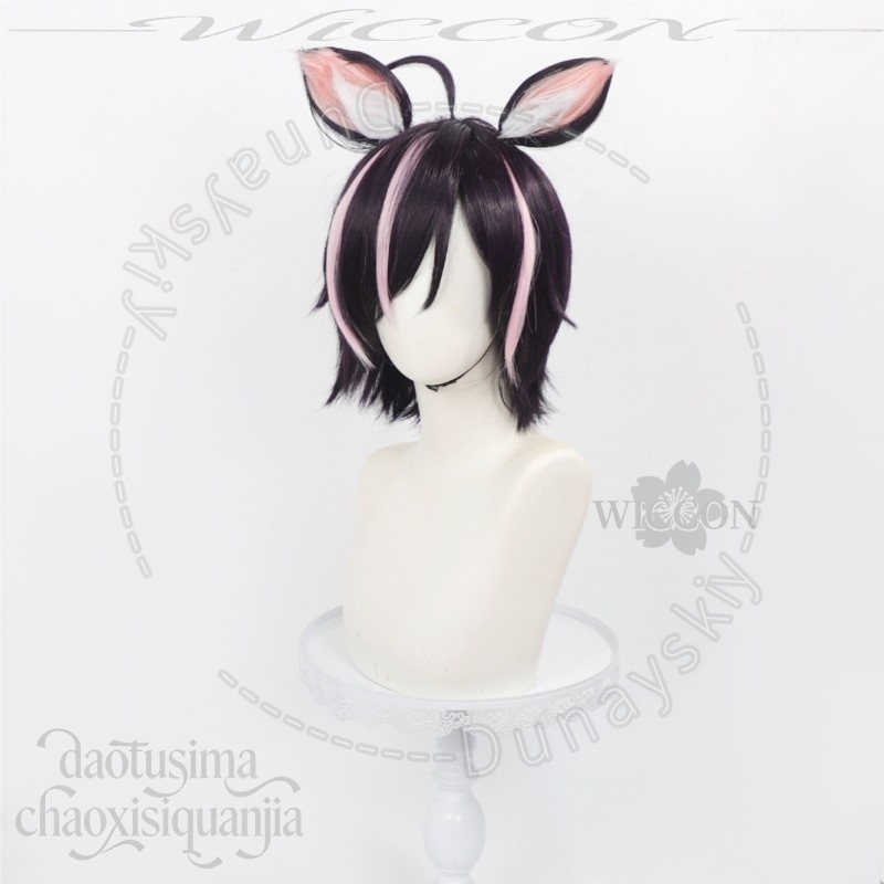Costume de cosplay Anime Re: Z - Anime Cosplay Re Zero avis et prix